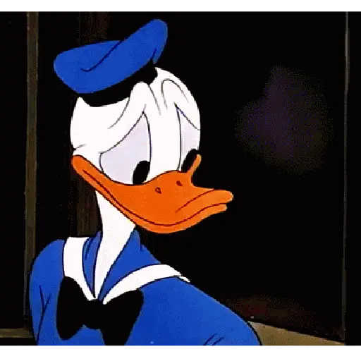 Pato Donald 17