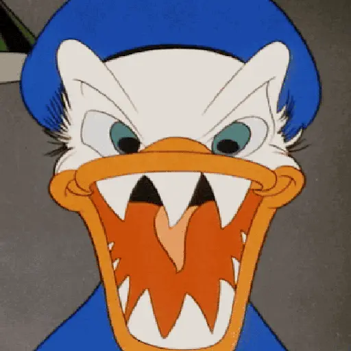 Pato Donald 24