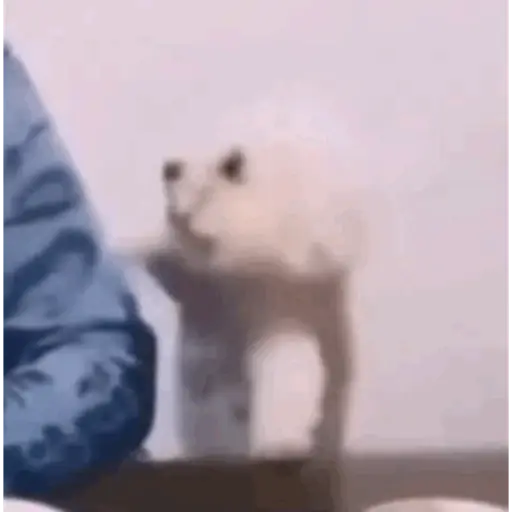 Funny very funny 17