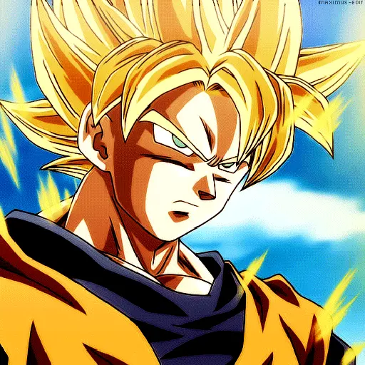 Goku 24