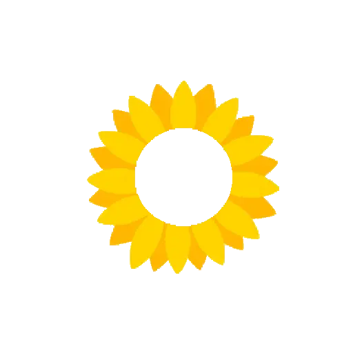 Flores Amarillas ✨🌻 15