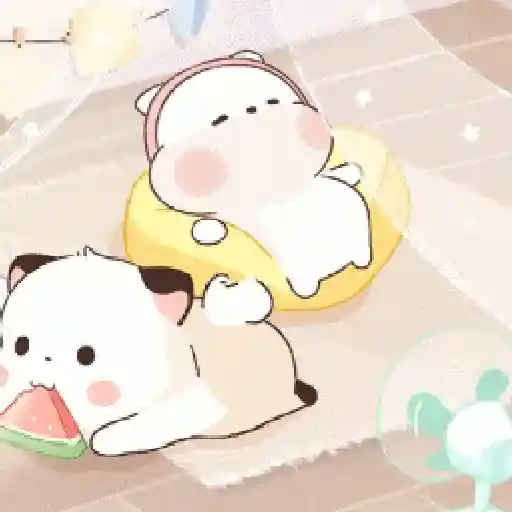 🧿Little Chubby

🐱 11