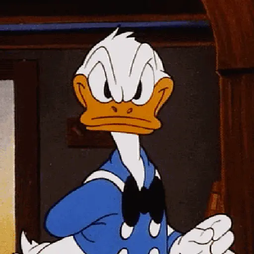 Pato Donald 22