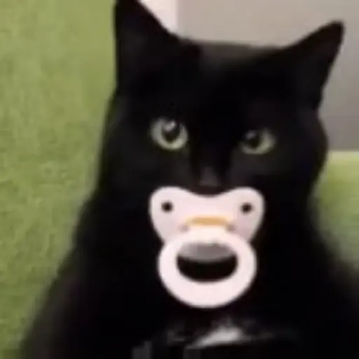 Gatos Gifs 25