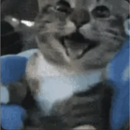 Gray Animated II 7