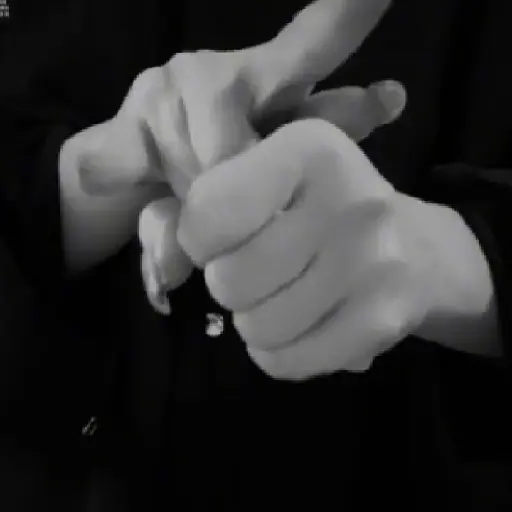 GIF Saficos 24