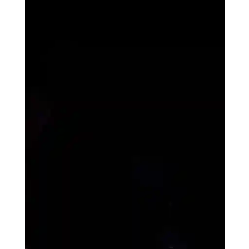 Hasbulla gif 29