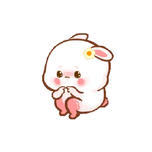 Cute bunny  13