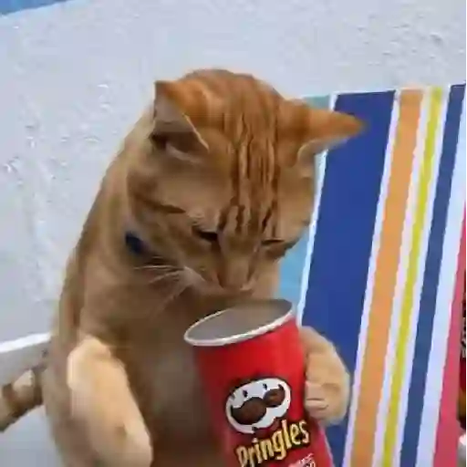 Gato mods peda 2