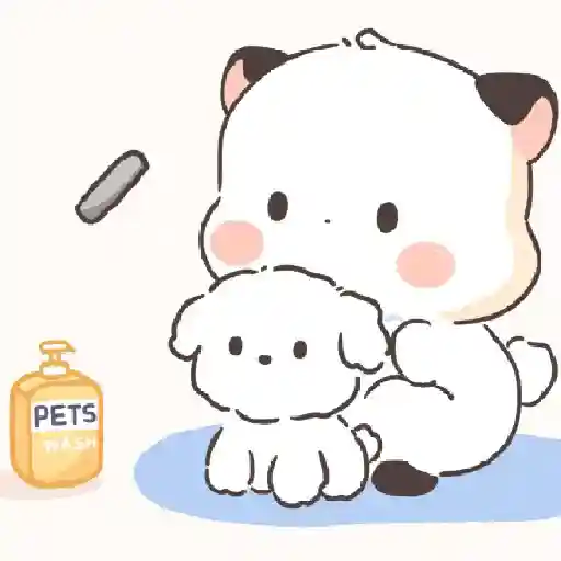 🧿Little Chubby

🐱 18