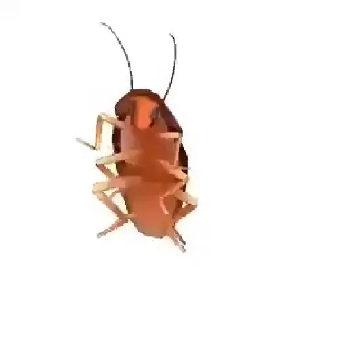 Animados  5