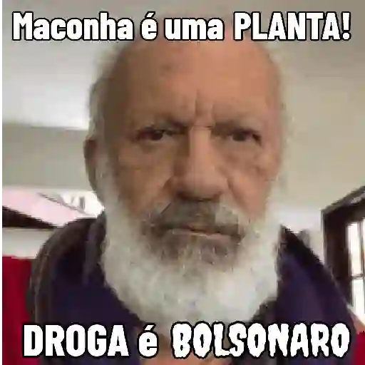 BRISA 17