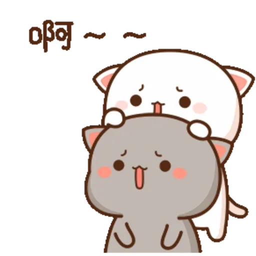 Mochi Peach cat 14 18
