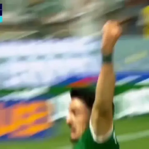 Piqueréz | Palmeiras 2