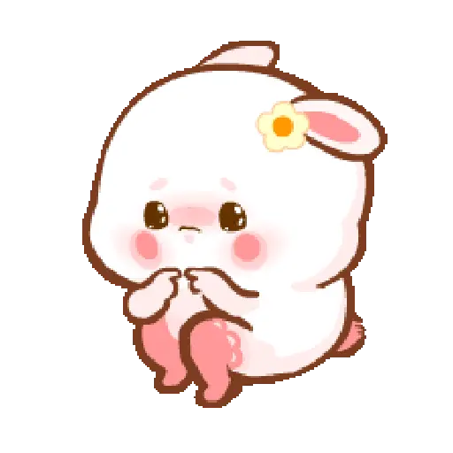 Cute bunny  4