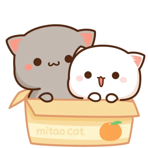Mochi Peach cat 14 26