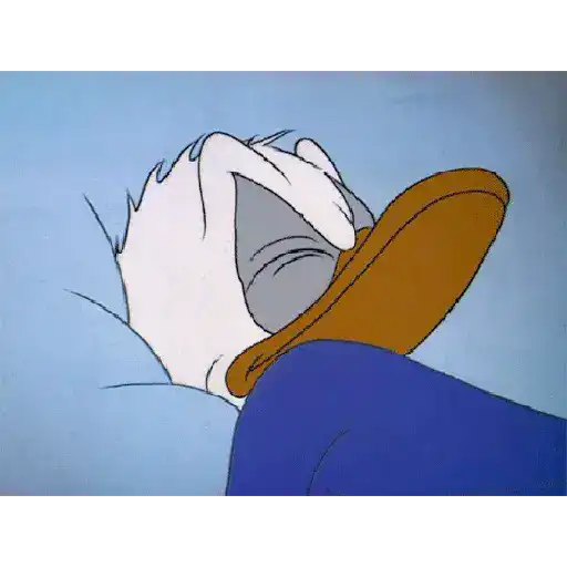 Pato Donald 15