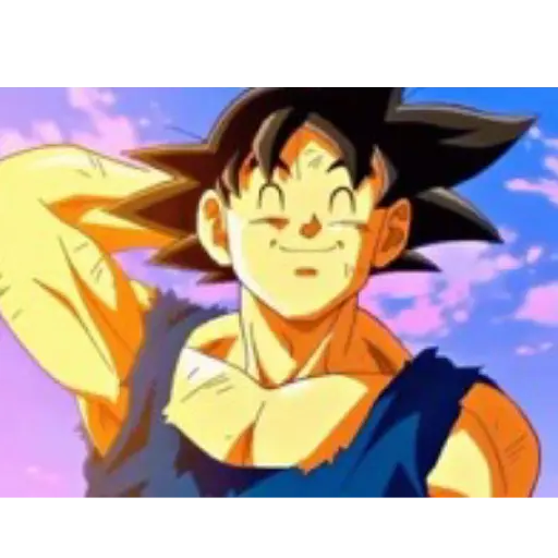 Goku 11