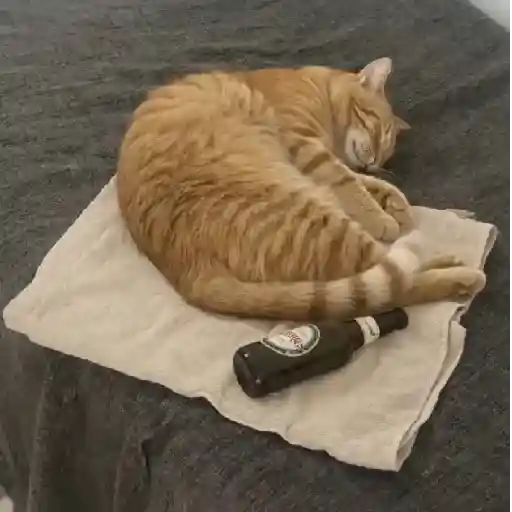 Gato mods peda 13