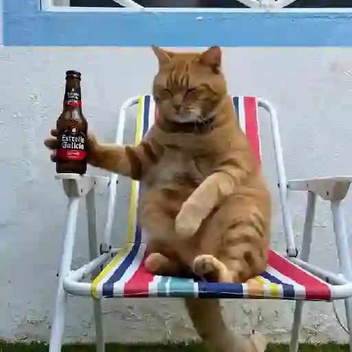 Gato mods peda 6