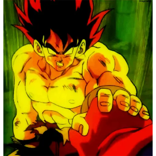 Goku 16