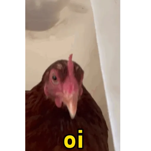Aaansnx 7