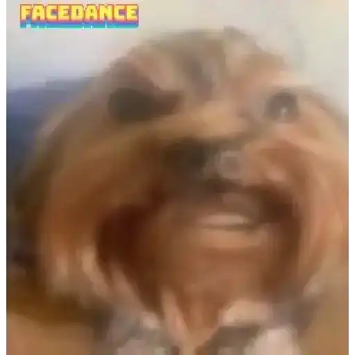 Funny very funny 1