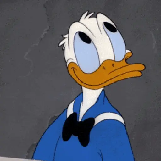 Pato Donald 16