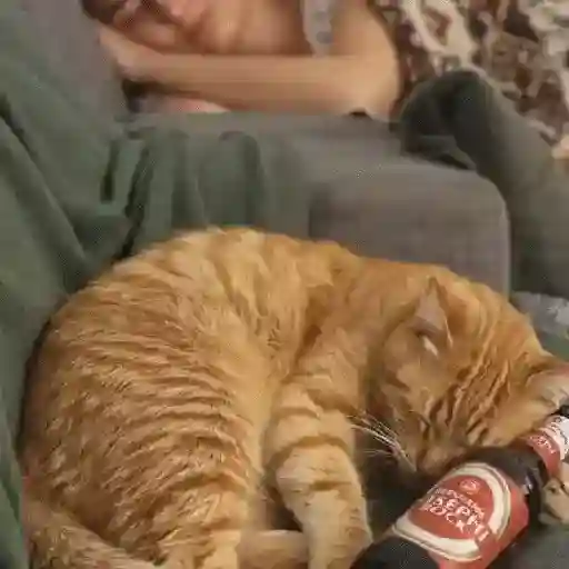 Gato mods peda 12