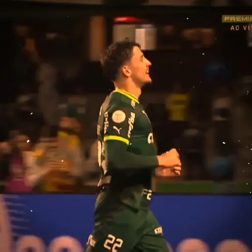 Piqueréz | Palmeiras 4