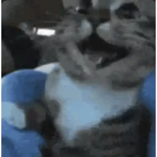 Funny very funny 8