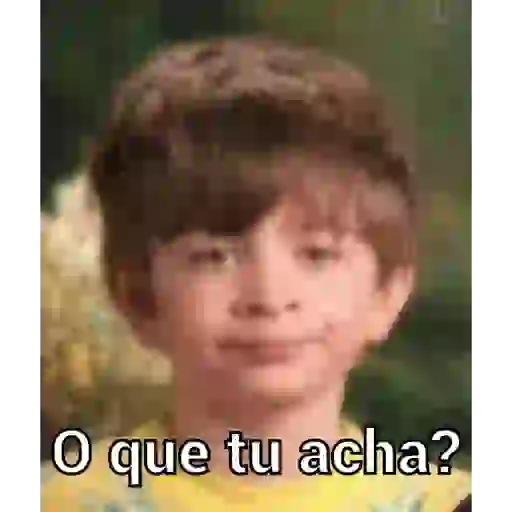 Animadas 2 19
