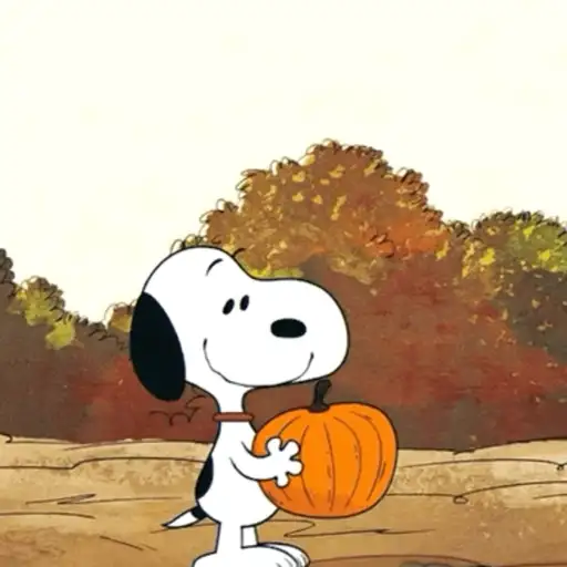 ❀ᮬ🐶⣧ ᩡᩡ Snoopy!©️Pochis 28