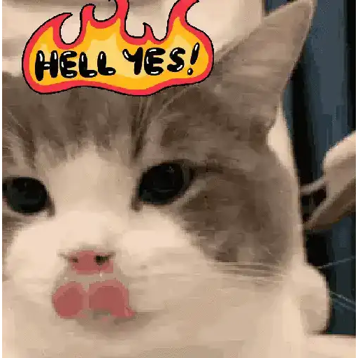 Gatos horny  1