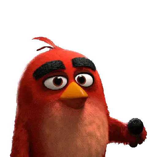 Red angry birds  8