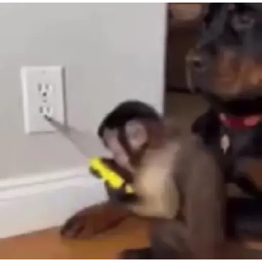 Tiktok 2