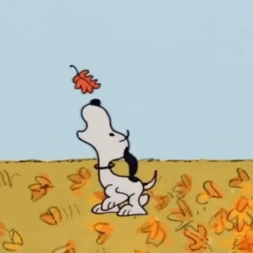 ❀ᮬ🐶⣧ ᩡᩡ Snoopy!©️Pochis 26