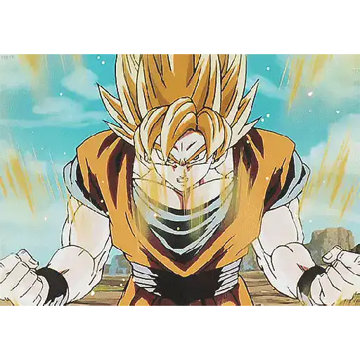Goku 25