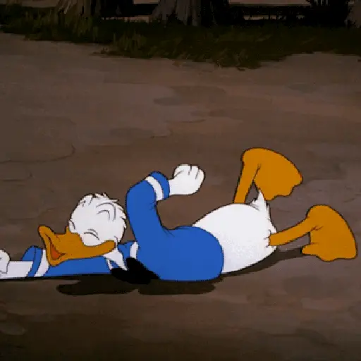 Pato Donald 27