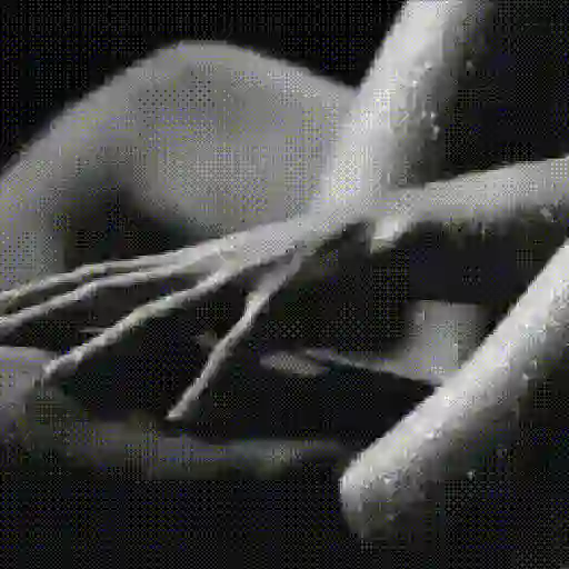 GIF Saficos 27