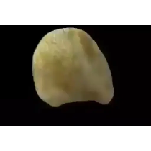 Animados  3