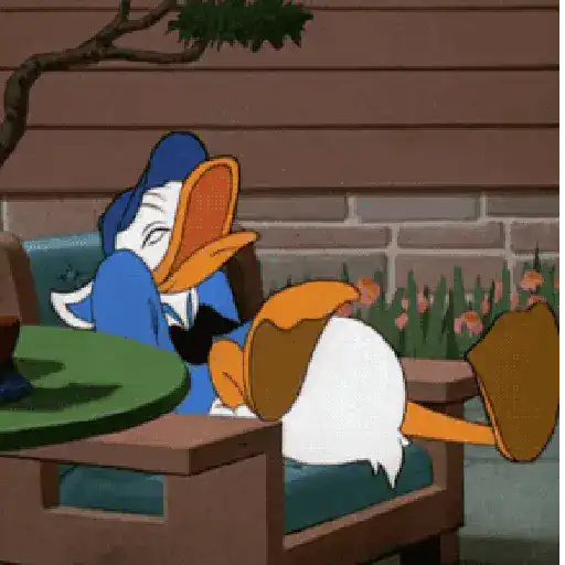 Pato Donald 26