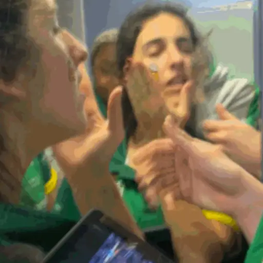 Animadas 10