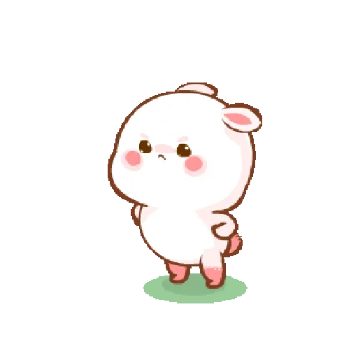 Cute bunny  10