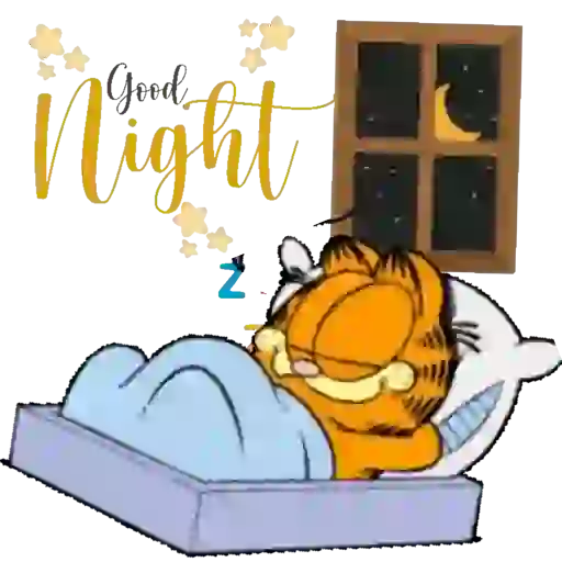 Boa Noite 16