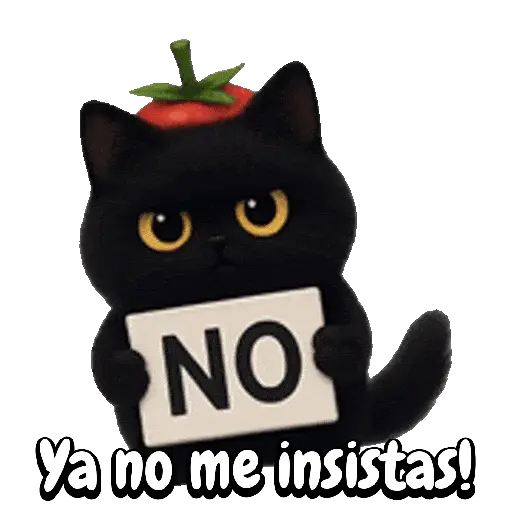 Tomate 🍅 Cat ⚫🐈‍⬛ 16
