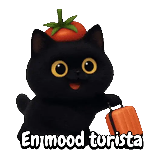 Tomate 🍅 Cat ⚫🐈‍⬛ 4