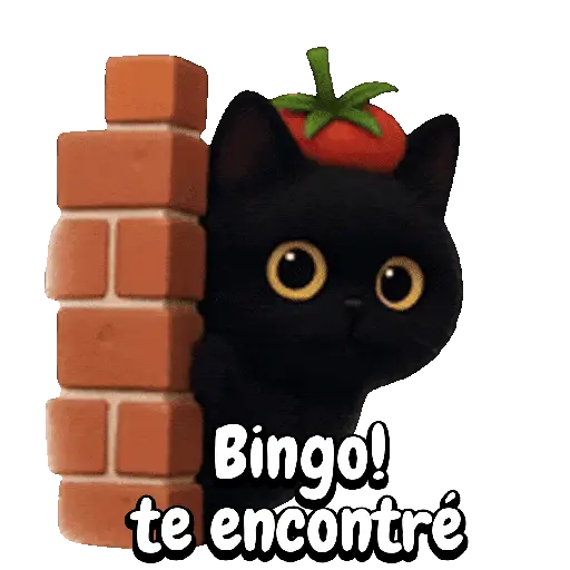 Tomate 🍅 Cat ⚫🐈‍⬛ 14