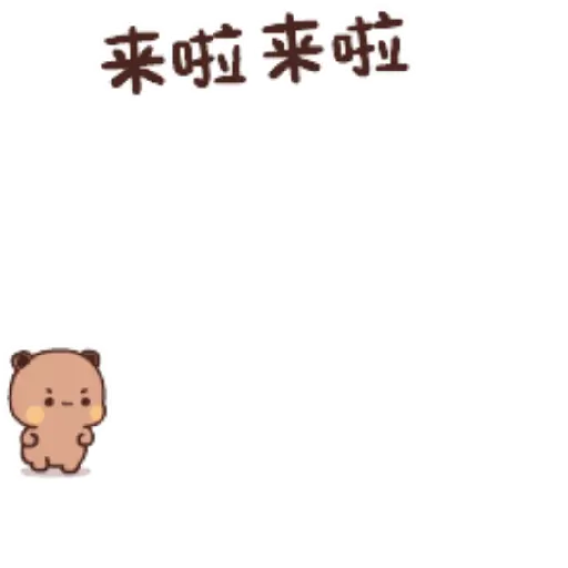 Panda Coklat 5