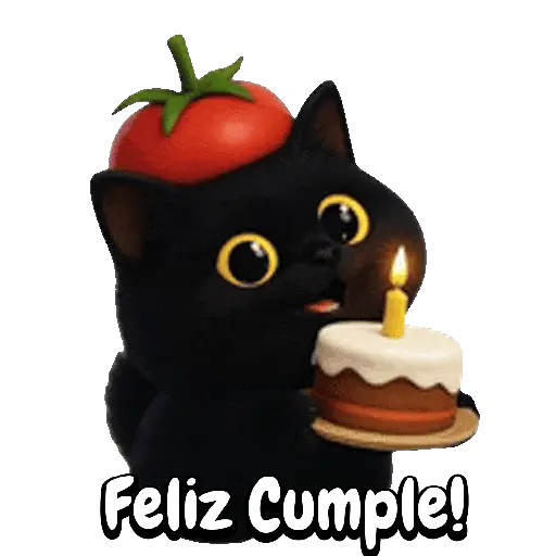 Tomate 🍅 Cat ⚫🐈‍⬛ 3